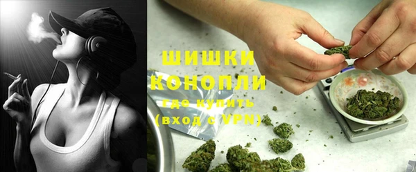 прущие грибы Баксан